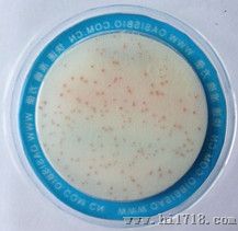 绿洲唯易食品微生物快速检测板 金黄色葡萄球菌板 食品微生物快速检测   包邮