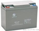 原装圣阳蓄电池SP12-65价格