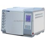 MGC-2060型气相色谱仪