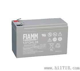  FIAMM FG系列蓄电池报价