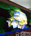 led显示屏，团队安装售后