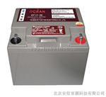 台湾日月潭12V150AH蓄电池REDSUN12-150