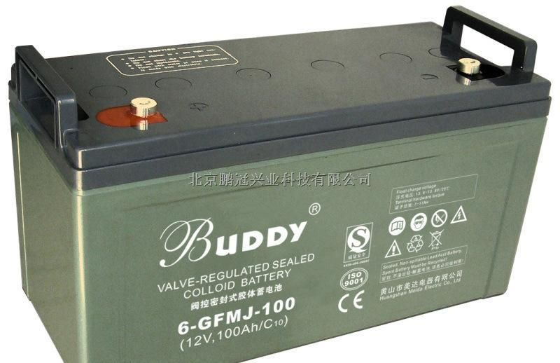 BUDDY宝迪蓄电池6-GFM-100 12V100AH报价