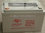 天津力源蓄电池LYV100AH阀控式铅酸蓄电池