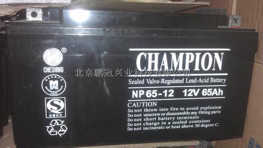 志成蓄电池NP100-12 12V100AH报价