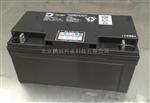 力得蓄电池NP-XA1265CH 12V65AH阀控密封式铅酸蓄电池