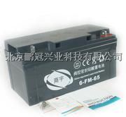 冠通蓄电池6-GFM-100 12V100AH价格参数