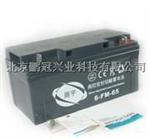 冠通蓄电池6-GFM-100 12V100AH价格参数