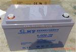 光宇蓄电池6-GFM-100报价 规格