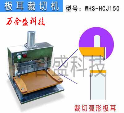 弧形极耳载切机WHS-HCJ150 副本.jpg