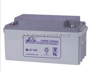 江苏理士蓄电池DJM1265 12V65AH阀控密封式铅酸蓄电池