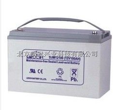江苏理士蓄电池DJM1265 12V65AH阀控密封式铅酸蓄电池