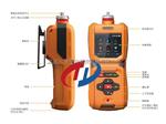 便携式乙烷浓度分析仪|泵吸式乙烷快速测定仪