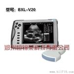 猪用B超机辅助泌乳母猪管理