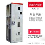 XGN2-12全绝缘金属封闭式环网柜 10KV高压中置开关柜