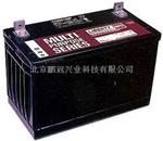 大力神蓄电池MPS12-100 12V100AH价格