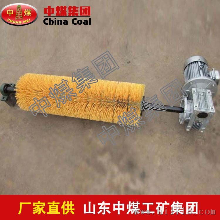 电动滚刷清扫器