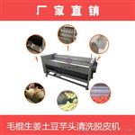 广东重庆贵阳陕西江西双槽洗菜机，蔬菜净加工设备自动翻转去杂消毒清洗机