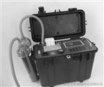 全自动烟尘（气）测试仪,烟尘烟气分析仪 型号:DP3000C