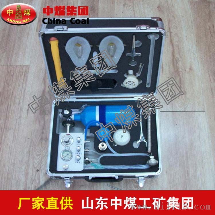 便携式自动苏生器