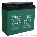 宝迪BUDDY蓄电池总代理价格/参数