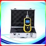 |便携式氧气浓度检测仪|O2气体监测仪