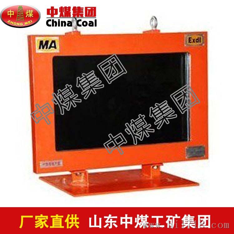 矿用隔爆型监视器