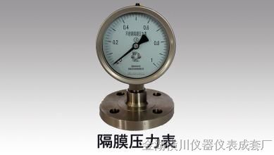 法兰式隔膜压力表