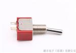 优质扭子开关 5a/125vac开关